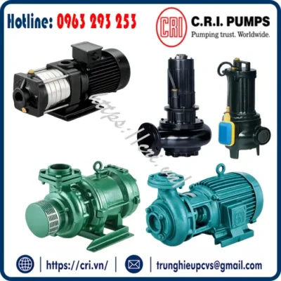 bom-cri-pumps-ly-tam