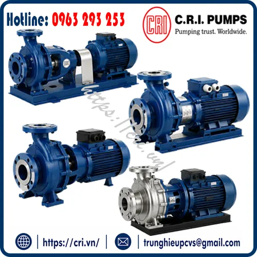 bom-ly-tam-cri-pumps-tai-vn
