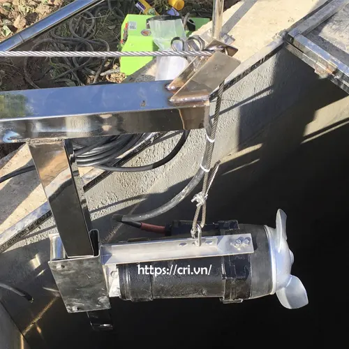 may-khuay-chim-cri-md-rp12-t-4