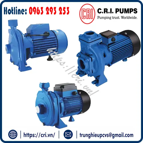 c-r-i-centrifugal-pumps-dai-ly-viet-nam-vn