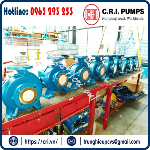 dau-bom-c-r-i-pumps-ecw-dai-ly-tai-viet-nam