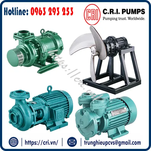 bom-khuay-cri-pumps-vn