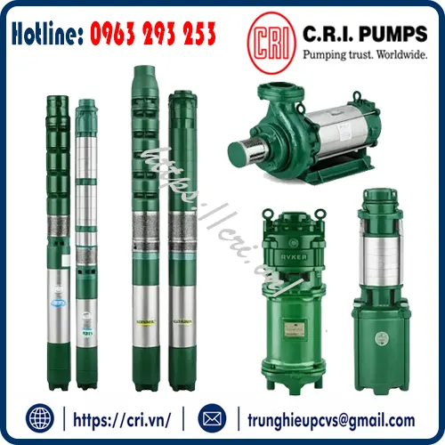 c-r-i-pumps-nha-phan-phoi-bom-tai-viet-nam