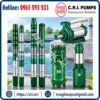 bom-gieng-khoan-10-inch-c-r-i-pumps