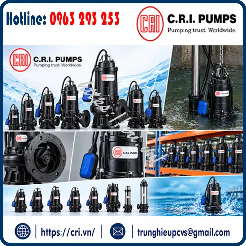 bom-chim-c-r-i-pumps-5m3-h-15m-gia-kho