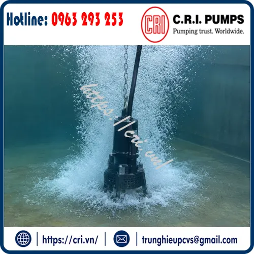 bom-suc-khi-c-r-i-pumps-ar-fd16-ct-4-1-6kw