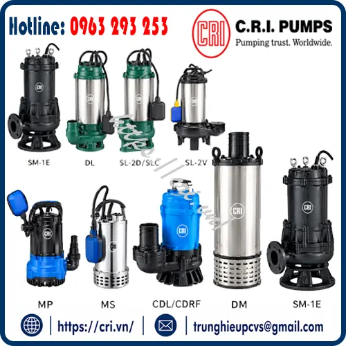 cung-cap-bom-c-r-i-pumps-sl-2d-11dt-ds