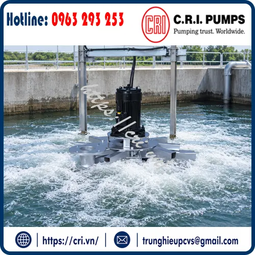 may-cap-oxy-chim-c-r-i-pumps-hang-co-san